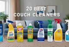 best couch cleaners