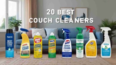 best couch cleaners