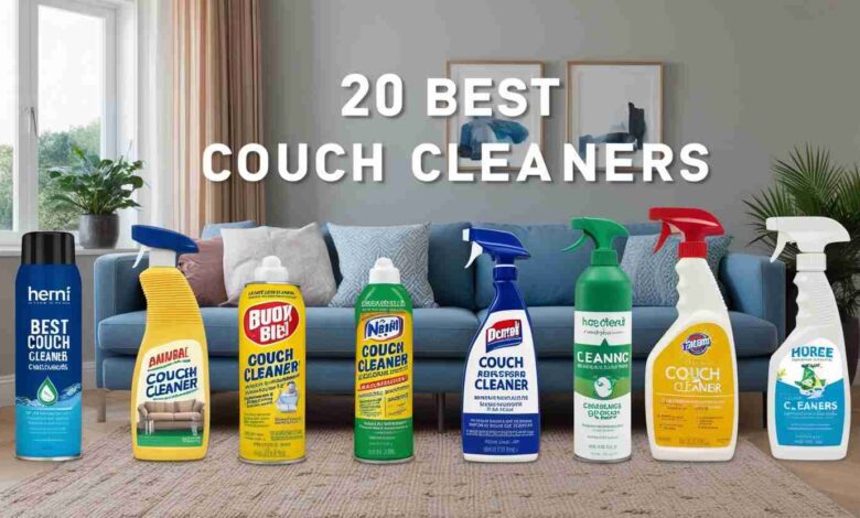 best couch cleaners